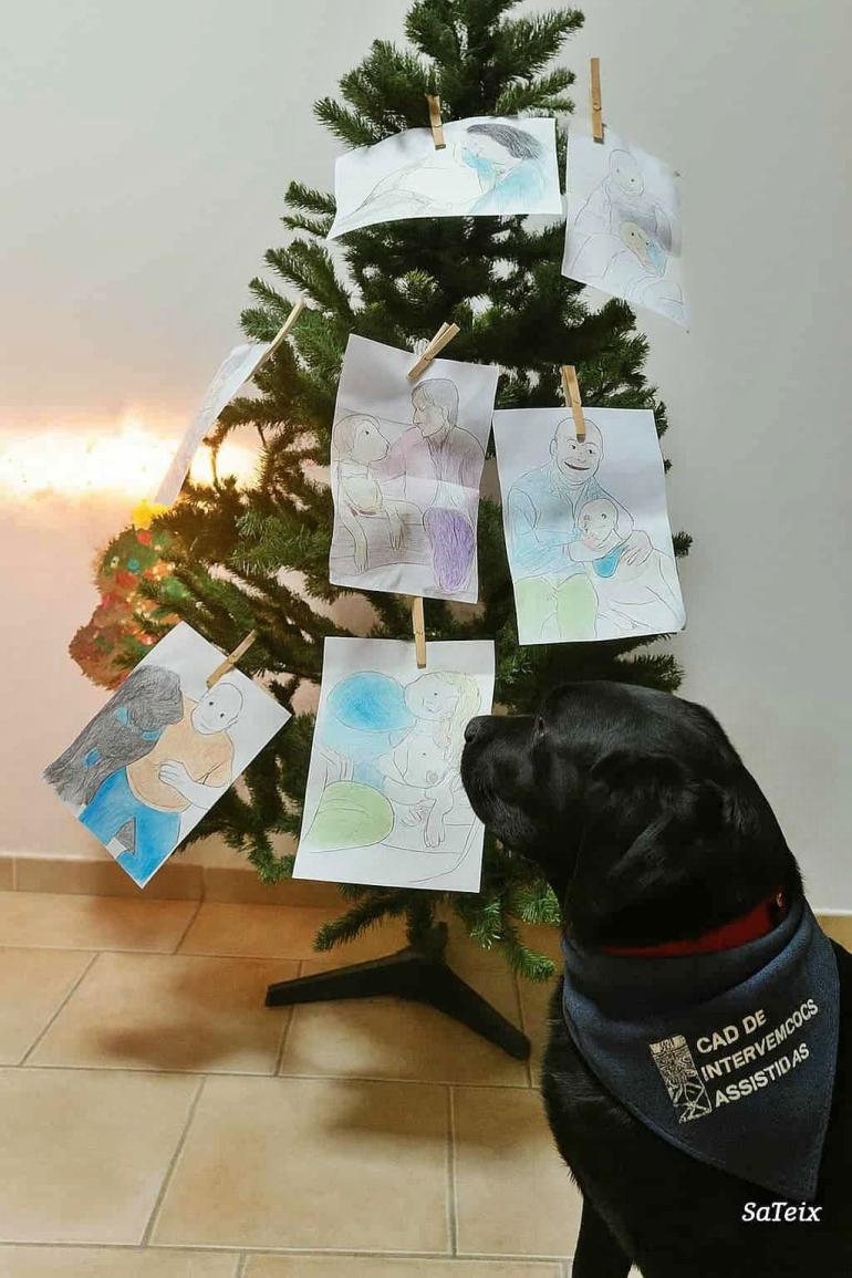 Atividade de Natal com a Escola de Cães-guia para Cegos