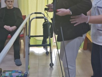 Animação e Fisioterapia