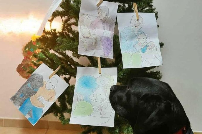 Atividade de Natal com a Escola de Cães-guia para Cegos