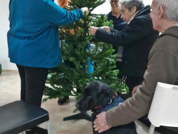 Atividade de Natal com a Escola de Cães-guia para Cegos