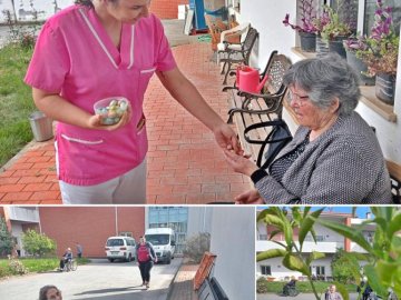 Caça aos ovos em Centro Balmar 