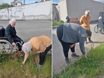 Caça aos ovos em Centro Balmar 