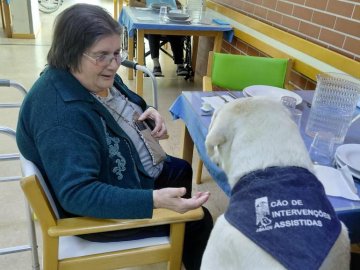 DIA INTERNACIONAL DO CÃO-GUIA 