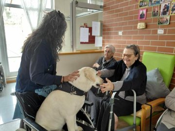 DIA INTERNACIONAL DO CÃO-GUIA 