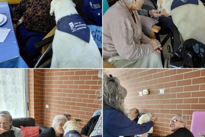 DIA INTERNACIONAL DO CÃO-GUIA 