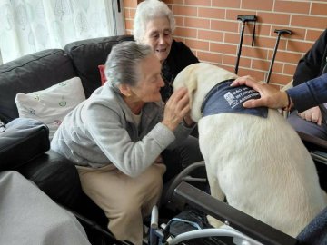 DIA INTERNACIONAL DO CÃO-GUIA 