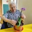Dona Floripes a cuidar das suas Orquídeas. 
