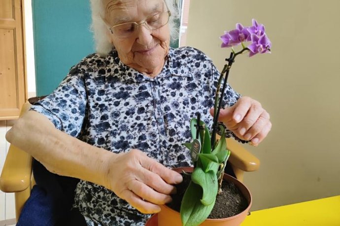 Dona Floripes a cuidar das suas Orquídeas. 