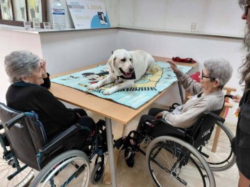 Nós e os Nossos Amigos de 4 Patas