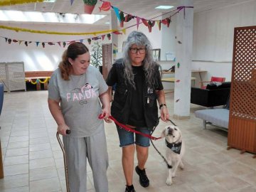 Nós e os Nossos Amigos de 4 Patas