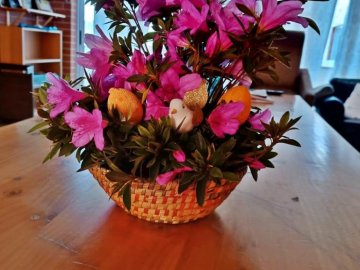 Nos preparativos para a Páscoa...