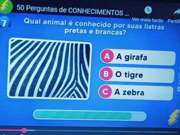 Quiz de Perguntas 