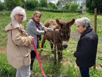 Visita ao Golias 