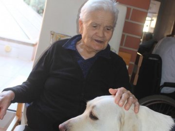 Visita Escola Cães-guia para Cegos II
