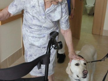 Visita Escola Cães-guia para Cegos III