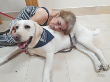 Visitas Que Alegram o Nosso Dia