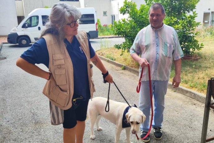 Visitas Que Alegram o Nosso Dia