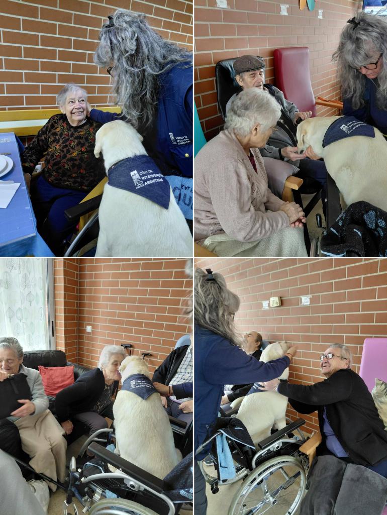DIA INTERNACIONAL DO CÃO-GUIA 