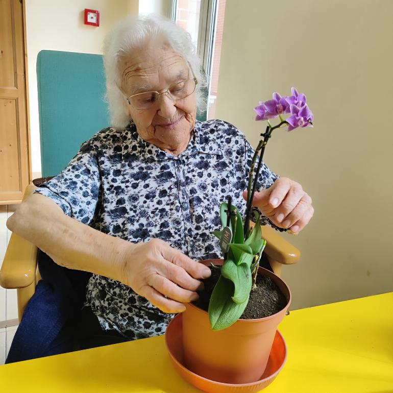 Dona Floripes a cuidar das suas Orquídeas. 