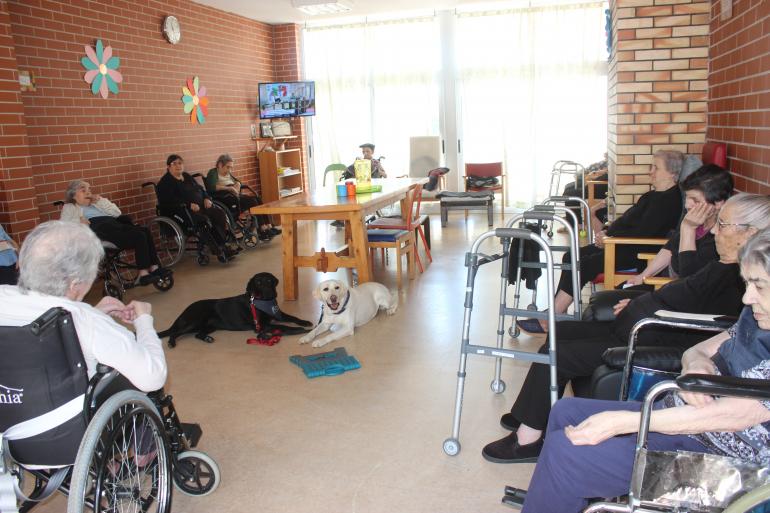 Visita Escola Cães-guia para Cegos 
